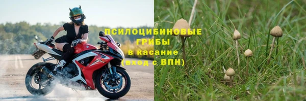 apvp Новокубанск