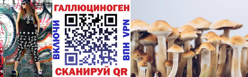 купить наркоту  Кондопога  нарко площадка состав  Галлюциногенные грибы MAGIC MUSHROOMS 