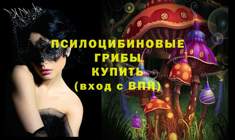 Галлюциногенные грибы MAGIC MUSHROOMS  Кондопога 