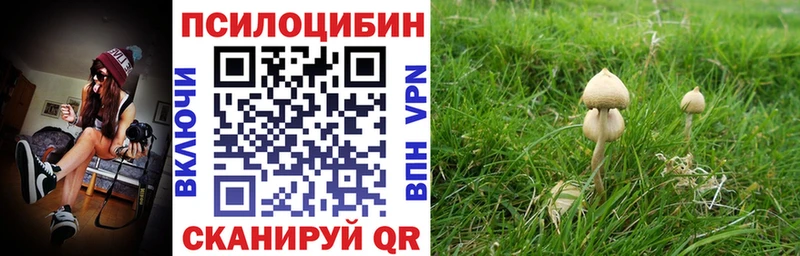 Псилоцибиновые грибы прущие грибы Кондопога