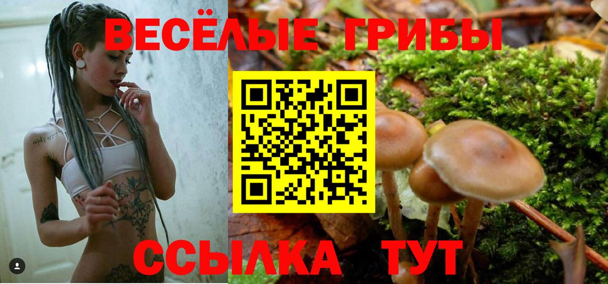 Галлюциногенные грибы GOLDEN TEACHER  Галлюциногенные грибы прущие грибы  Кондопога  Вход с VPN 